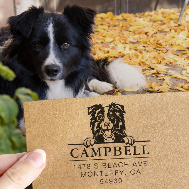 Cute Gräns Collie-Anpassningsbarna Hund Adress Fri Självfärgande Stämpel (Skapare uppladdad)