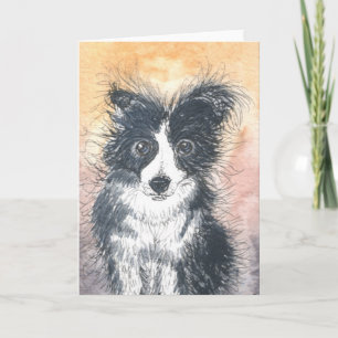 Cute Gräns Collie Card, för kollieentusiaster! Kort