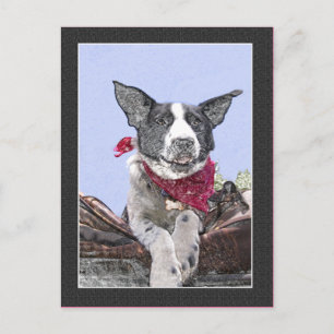 Cute Gräns Collie Heeler Mix Hund Sketch Art Hej Vykort