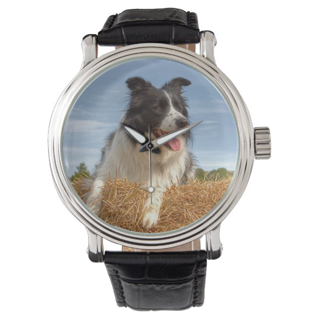 Cute Gräns Collie Hund Armbandsur (Framsida)