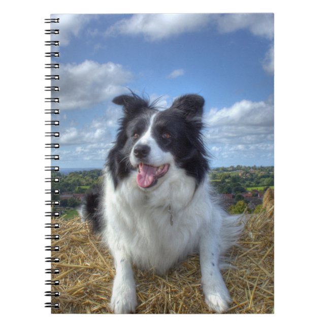 Cute Gräns Collie Hund Photo Anteckningsbok (Framsidan)