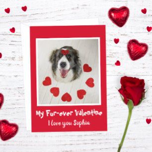 Cute Gräns Collie hund Valentindagen kärlek hjärta Helgkort