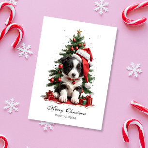 Cute Gräns Collie Julvalpen Personlig Julkort