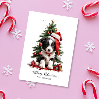 Cute Gräns Collie Julvalpen Personlig Julkort