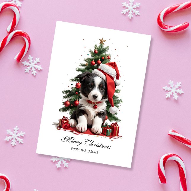 Cute Gräns Collie Julvalpen Personlig Julkort (Cute Border Collie Christmas Card)