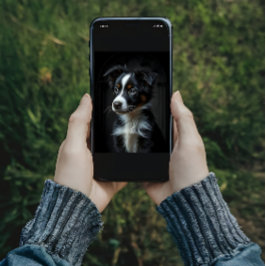 Cute Gräns Collie Poster