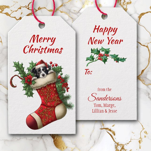 Cute Gräns Collie Puppy Peeking Presentetikett (Skapare uppladdad)