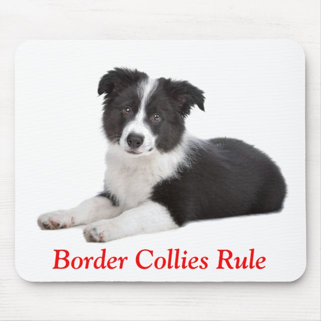 Cute Gräns Collies Rule Puppy Hund Mousepad Musmatta (Framsidan)