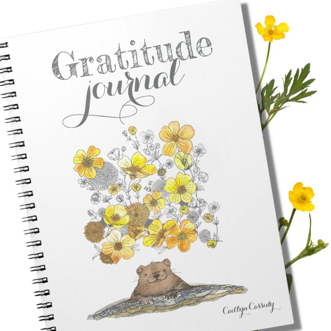 Cute Gratitude Journal Illustrated Flowers Namn Anteckningsbok (Skapare uppladdad)