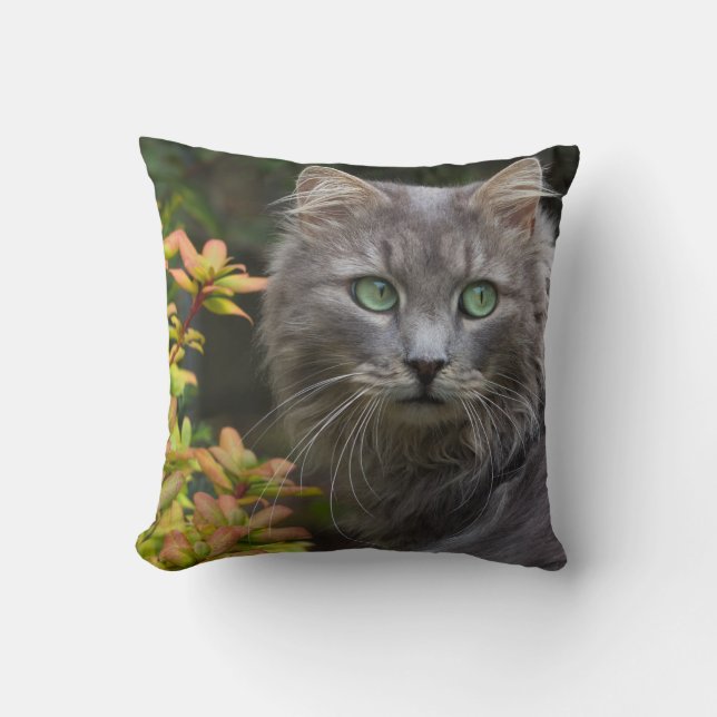 Cute Grått Cat Dekorativ kudde (Framsida)