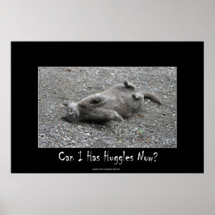 Cute Grått Cat Funny Huggles Poster