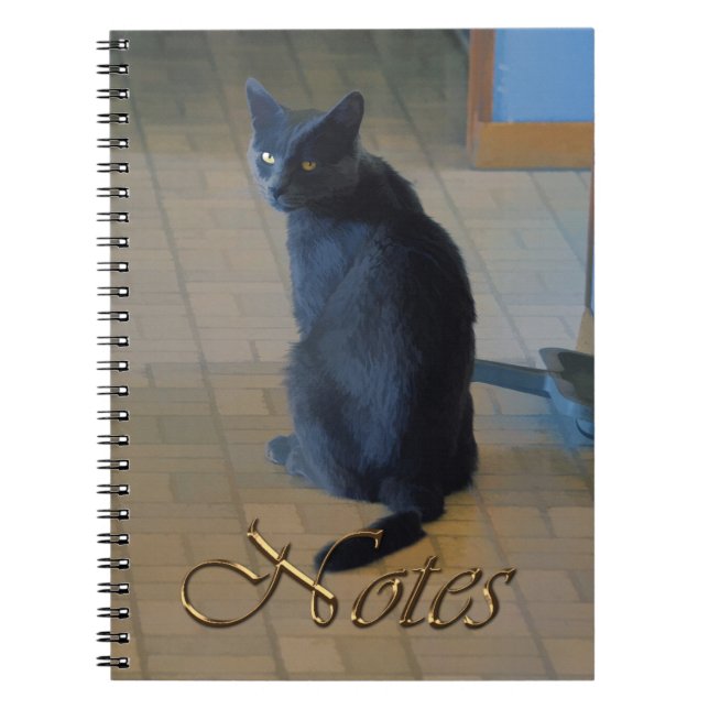 Cute Grått Farm Sitta i Ranch Kitchen Anteckningsbok Med Spiral (Framsidan)