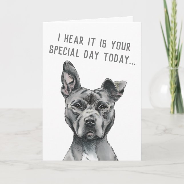 Cute Grått Hund Funny Grattis på födelsedagen Kort (Framsida)