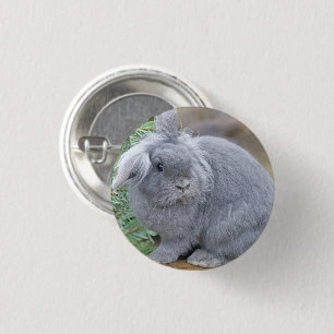 Cute grått-kanin knapp