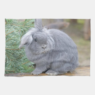 Cute grått-kanin kökshandduk
