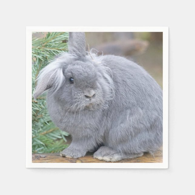 Cute grått-kanin pappersservett (Framsidan)