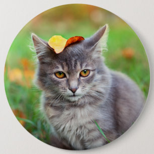 Cute Grått Kattunge med Löv på huvud Knapp