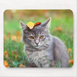 Cute Grått Kattunge med Löv på huvud Musmatta