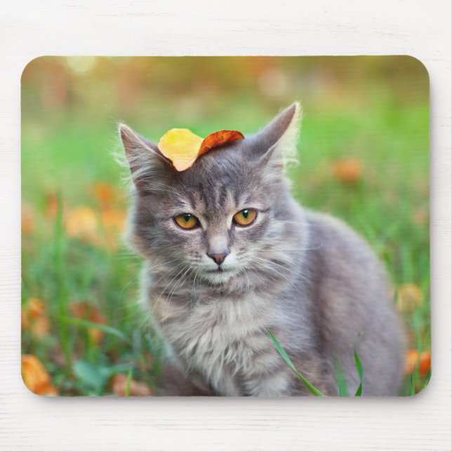 Cute Grått Kattunge med Löv på huvud Musmatta (Framsidan)