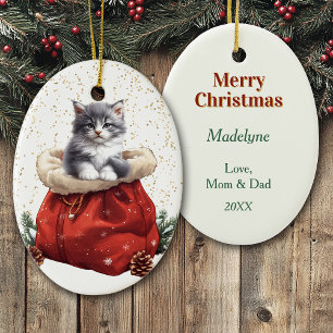 Cute Grått Kitten jul Gift Bag Julgransprydnad Keramik