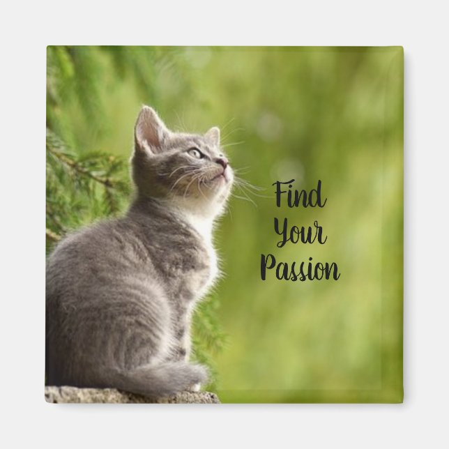 Cute Grått Kitten Magnet (Framsidan)