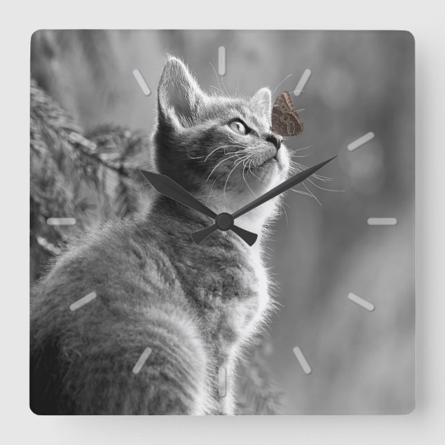 Cute Grått Kitten med fjäril på näsa Fyrkantig Klocka (Framsida)