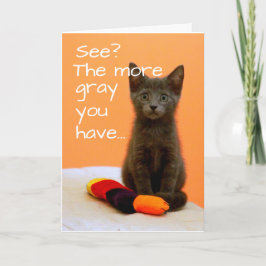 Cute Grått Kitten på Orangens bakgrund Kort