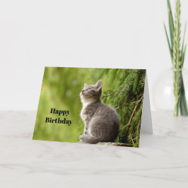 Cute Grått Kitten Tittar upp fotofödelsedagen Kort