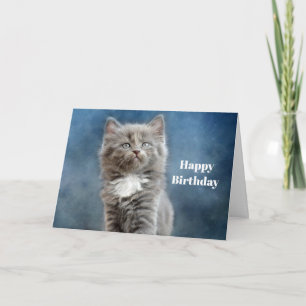 Cute Grått och vit kattunge födelsedag Kort