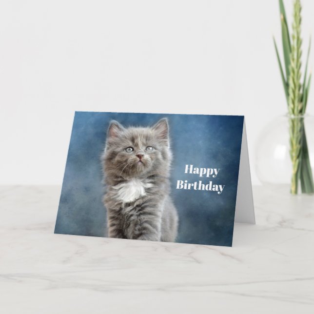 Cute Grått och vit kattunge födelsedag Kort (Framsida)
