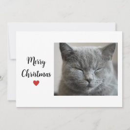Cute Grått Sömnig Cat Chritsmas Helgdag Kärlek Julkort