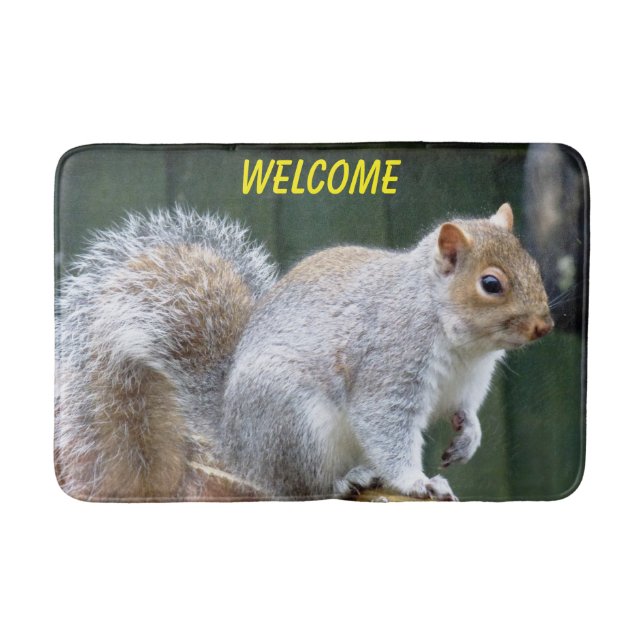 Cute Grått Squirrel Badrumsmatta (Framsidan)