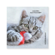 Cute Grått Tabby katt jul Hat Julafton