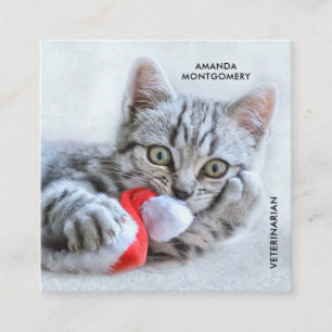 Cute Grått Tabby katt jul Hat Julafton Fyrkantigt Visitkort