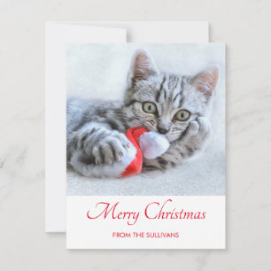 Cute Grått Tabby katt jul Hat Julafton Julkort