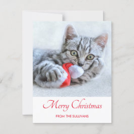 Cute Grått Tabby katt jul Hat Julafton Julkort