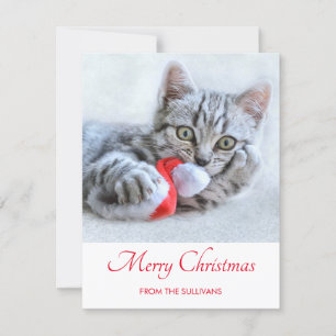 Cute Grått Tabby katt jul Hat Julafton Julkort
