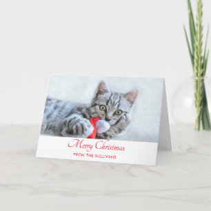 Cute Grått Tabby katt jul Hat Julafton Kort