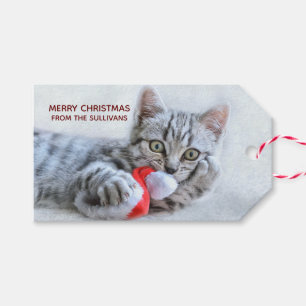 Cute Grått Tabby katt jul Hat Julafton Presentetikett