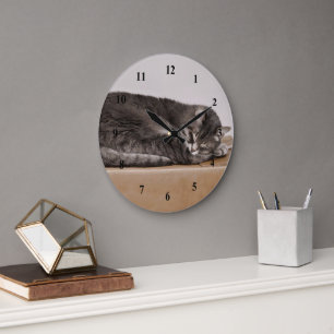 Cute Grått Tabby katt som lämnar boxen Stor Klocka