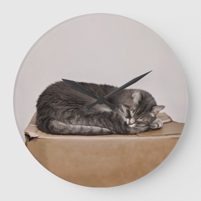 Cute-Grått-Tabby katt som sover på lådan Stor Klocka (Framsida)