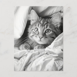 Cute Grått Tabby katt Vykort