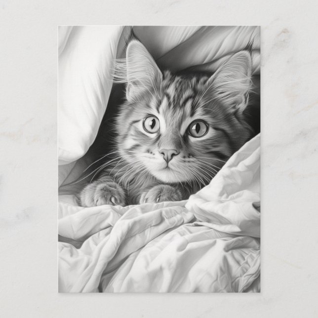 Cute Grått Tabby katt Vykort (Framsida)
