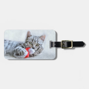 Cute Grått Tabby katt w/ jul Hat Julafton Bagagebricka