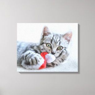 Cute Grått Tabby katt w/ jul Hat Julafton Canvastryck