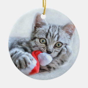 Cute Grått Tabby katt w/ jul Hat Julafton Julgransprydnad Keramik