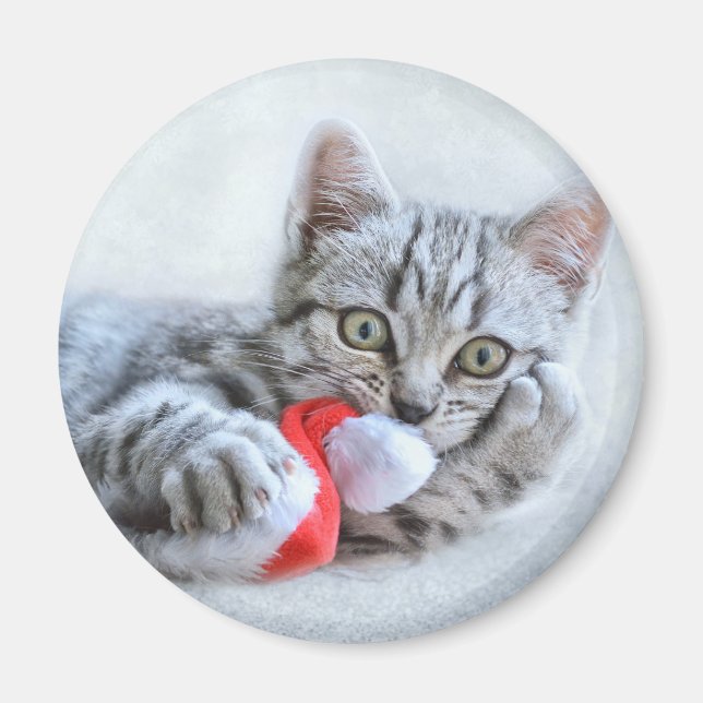 Cute Grått Tabby katt w/ jul Hat Julafton Magnet (Framsidan)