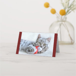 Cute Grått Tabby katt w/ jul Hat Julafton Placeringskort