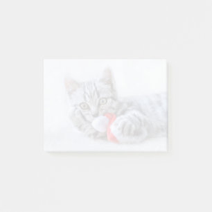 Cute Grått Tabby katt w/ jul Hat Julafton Post-it Block