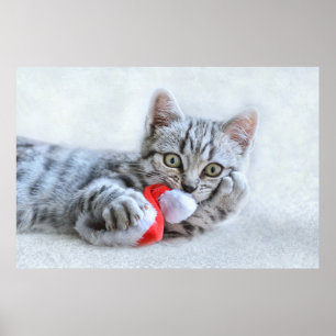 Cute Grått Tabby katt w/ jul Hat Julafton Poster